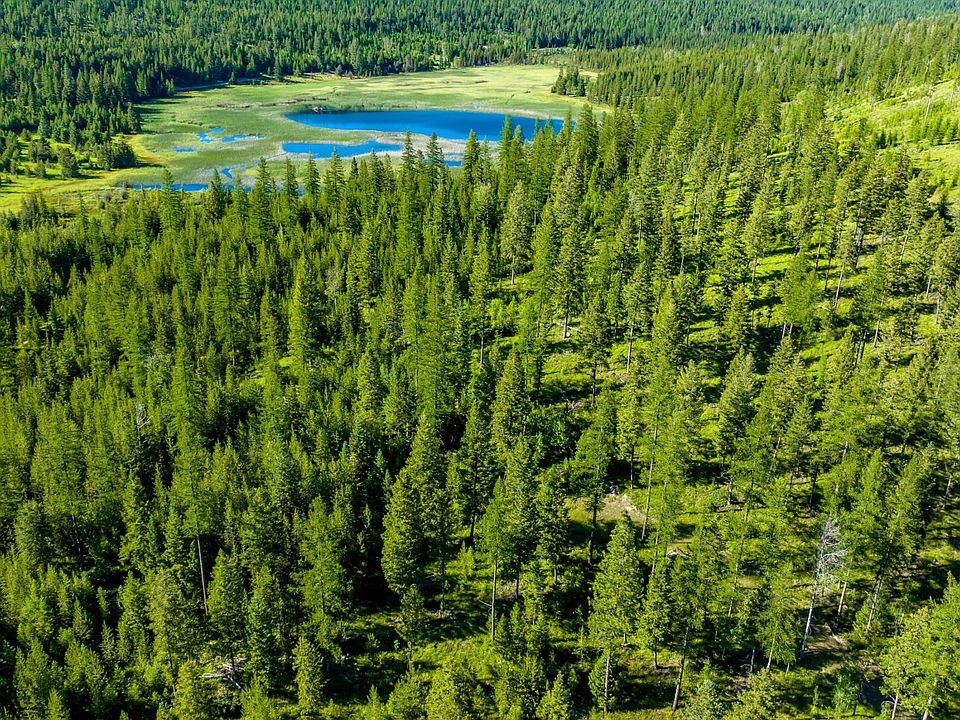 1st image of 133 Hodge Lake Trl