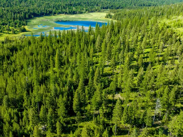 133 Hodge Lake Trl, Kila, MT 59920