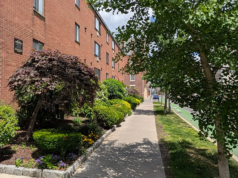 236 Babcock St #2 — Photo 26
