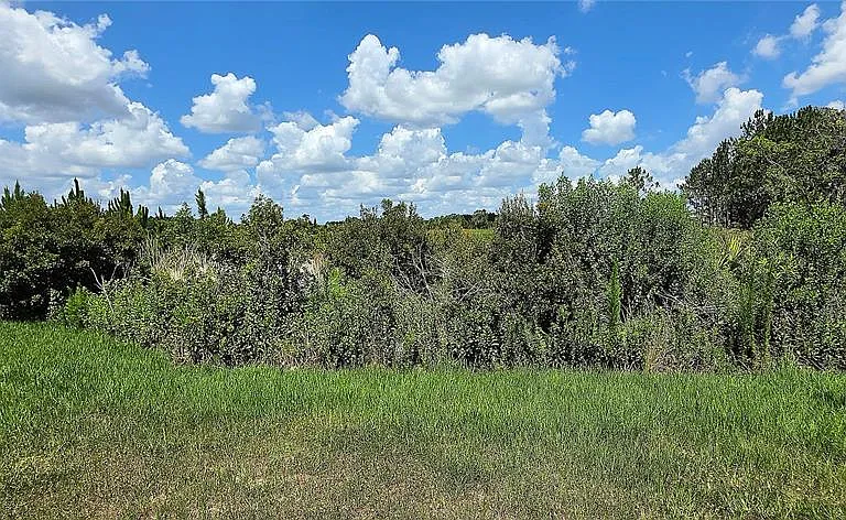 35436 Big Hawk Dr — Photo 13