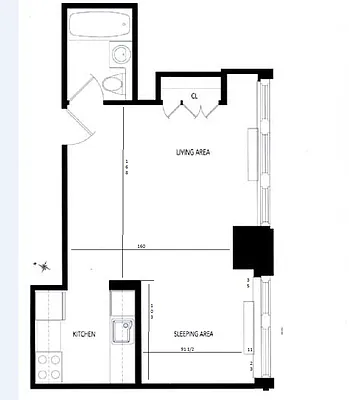 Rented by NY Living Solutions | media 19