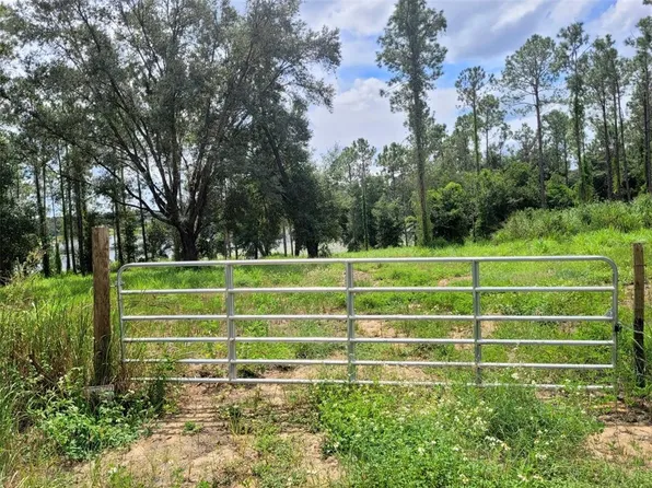 Keene Rd Lot 4, Altoona, FL 32702