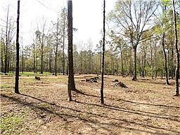 4th image of 633 Ira Denson Rd