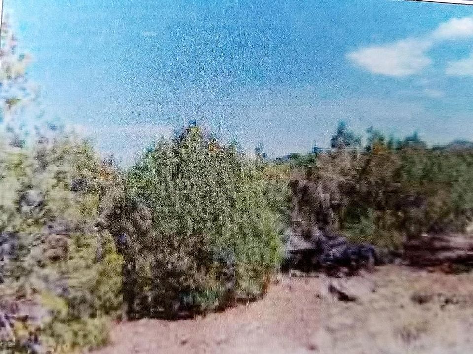 1st image of 8471 Chuka Pl