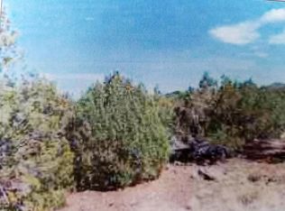 8471 Chuka Pl, Show Low, AZ 85901