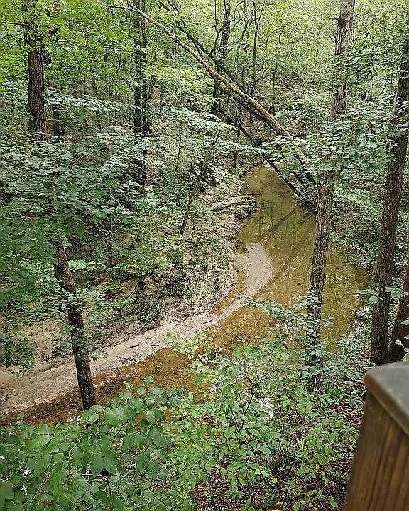 Deck over looking the Creek