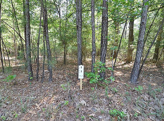 2nd image of Glen Eagles St.  Lot's 5 And 6