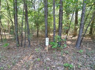 Glen Eagles St. Lot 5, Point Blank, TX 77320