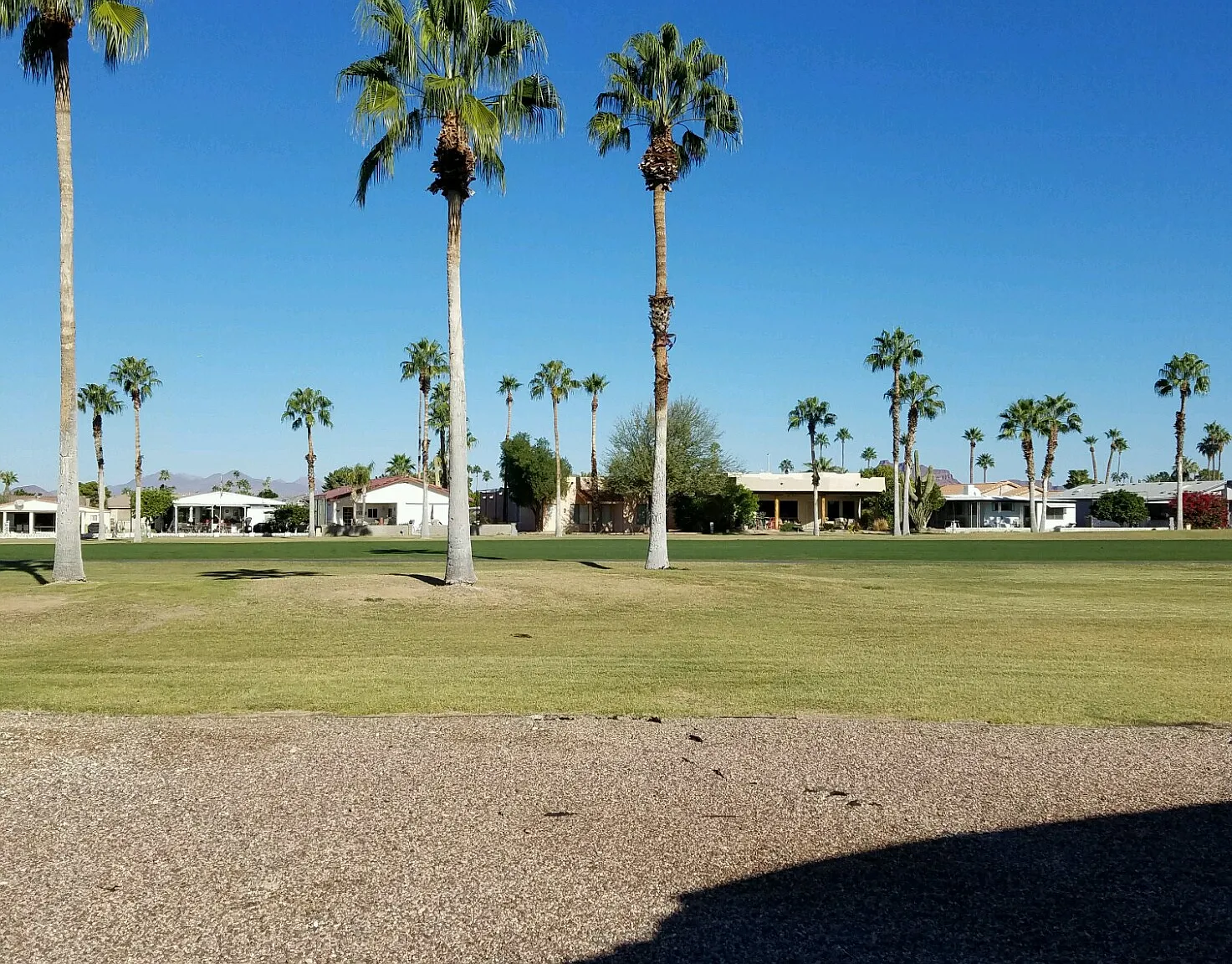2 bed, 1080 sqft, $2,000 — Photo 1