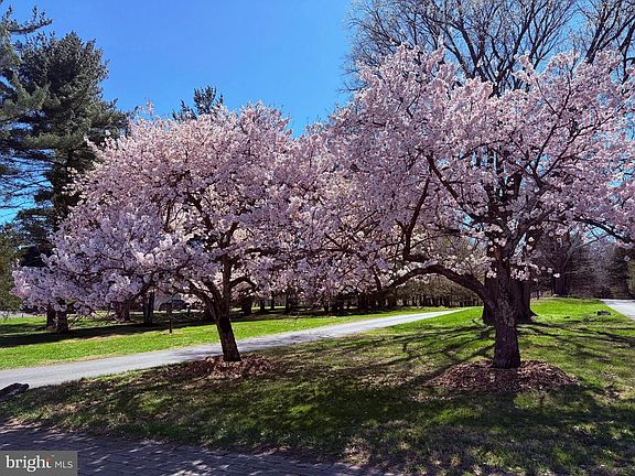 2nd image of 11512 Morning Ride Dr