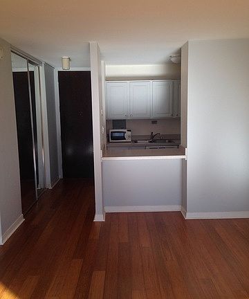 4th image of 535 N Michigan Ave APT 3005