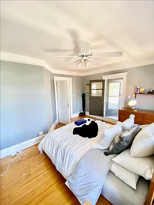 Rented by Tree House Realty of Queens Corp | media 6