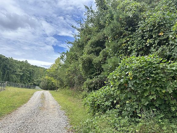 3rd image of 6 Mile Rd