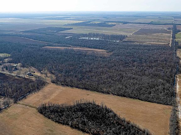 5th image of 377 McPherson Rd