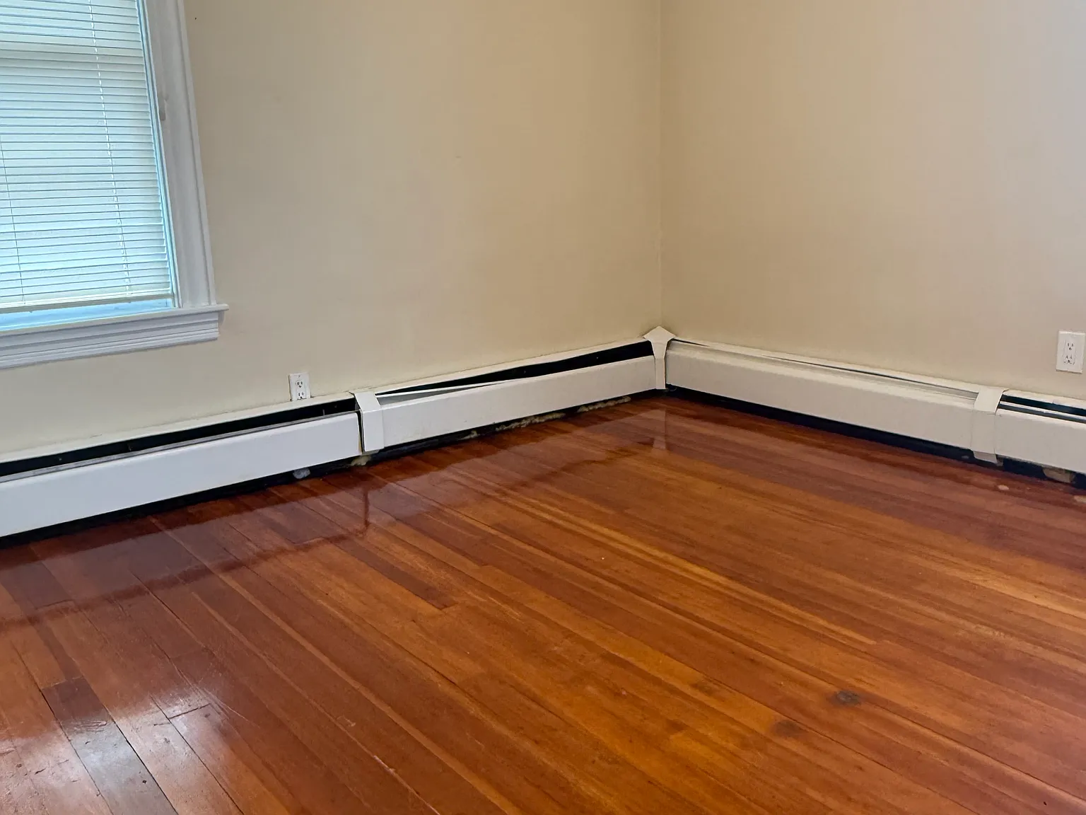 3 bed, $1,800 — Photo 3