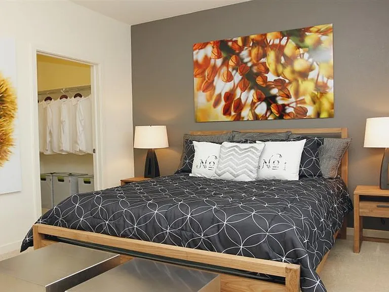 Walk-In Closets