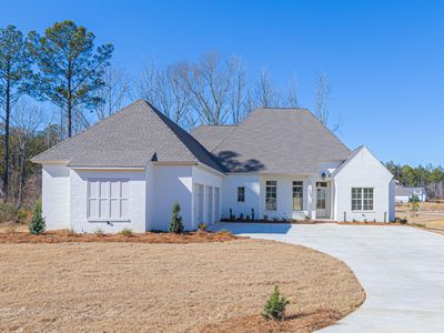 700 Ivywood Ct, Madison, MS, 39110