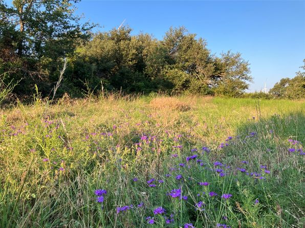 TRACT 19 County Road 493, Desdemona, TX 76445