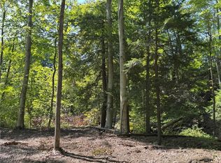 Huntoon Rd, Painesville, OH 44077