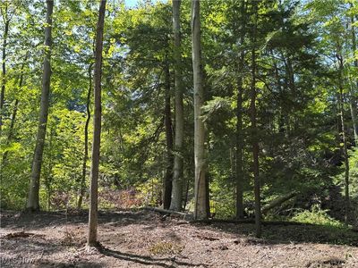 Huntoon Rd, Painesville, OH, 44077