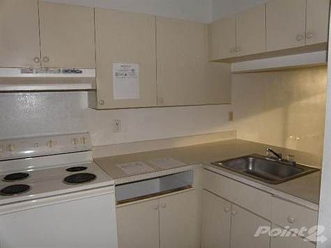 4th image of 5110 Palm Hill Dr APT 221