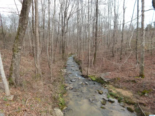 185 County Road 853, Fort Payne, AL 35967