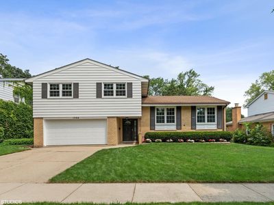 1506 E Sunset Ter, Arlington Heights, IL, 60004