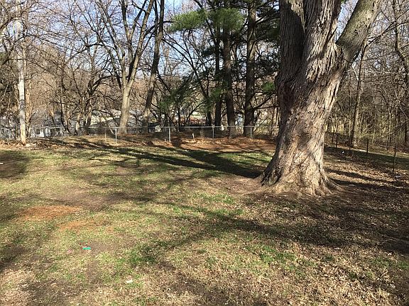 Large Backyard