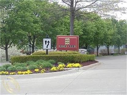 2nd image of 37548 Burton Ct #1