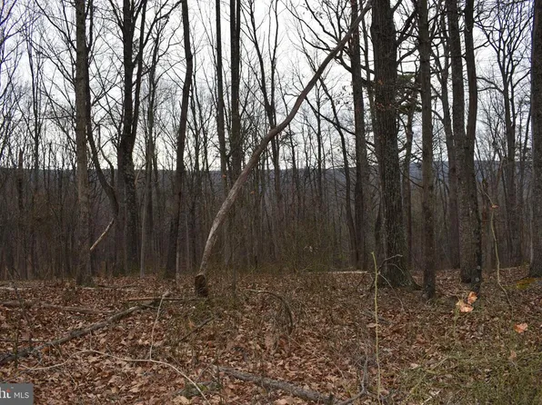 58 Birch Grove Ln, Berkeley Springs, WV 25411