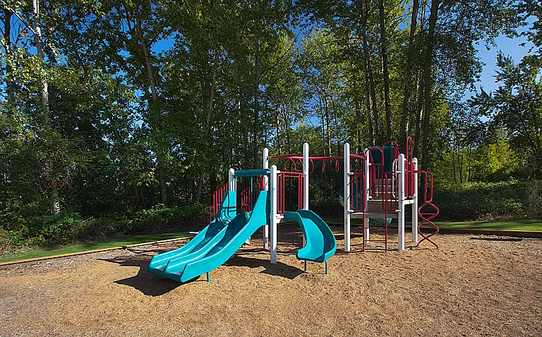 Woodridge Park — Photo 4