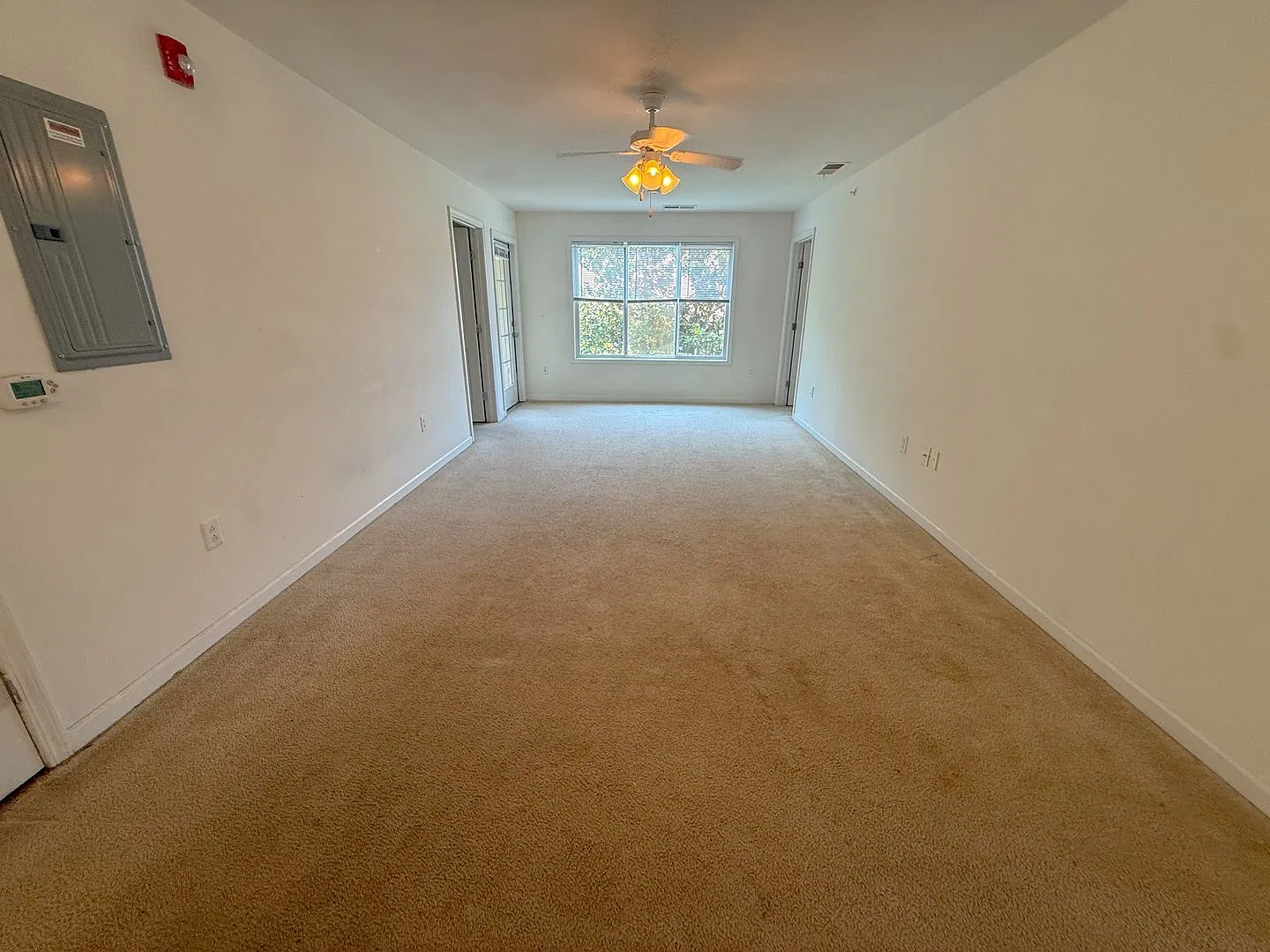 4 Bed 4 Bath Condo with New carpet available now — Photo 4