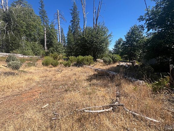 4th image of 11495 Pine Summit