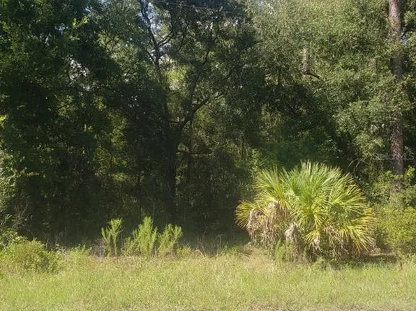2949 W Grapevine Ct #89, Dunnellon, FL 34433