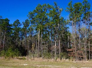 27535 Hunter Creek Ct, Spring, TX 77386