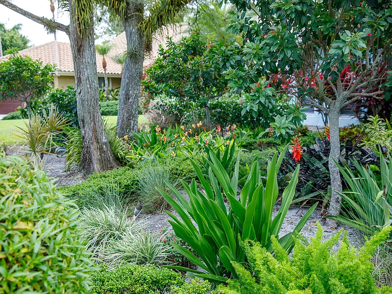 900 Cosmos Ct — Photo 3