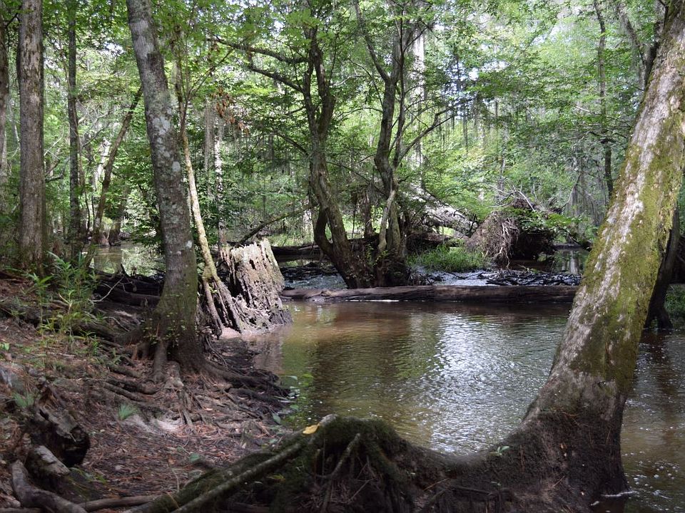 Excellent hunting recreation on Ohoopee River