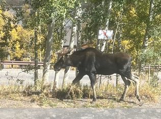 2403 Ryan Gulch Ct UNIT 107, Silverthorne, CO 80498