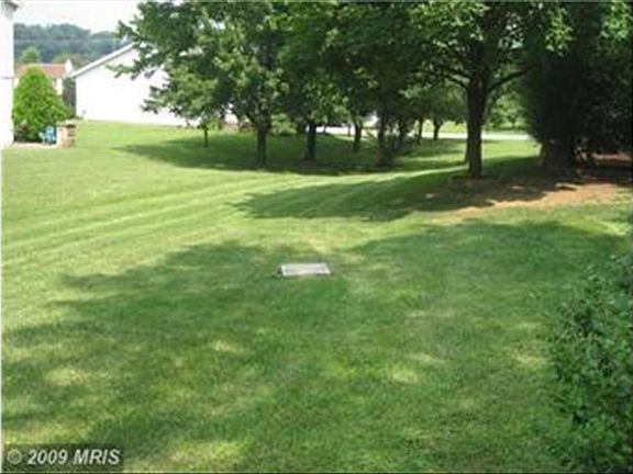 Rear yard
