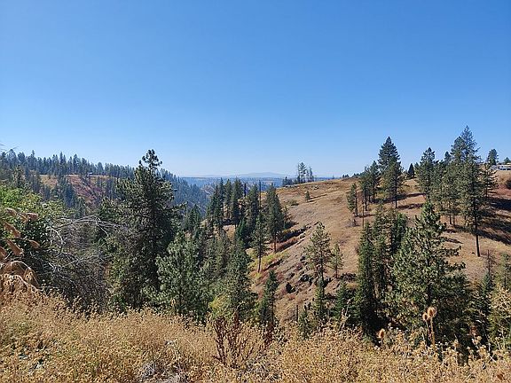 Lot 7 is across the ravine 