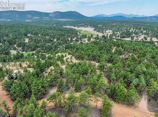 39 Reed Dr, Florissant, CO 80816
