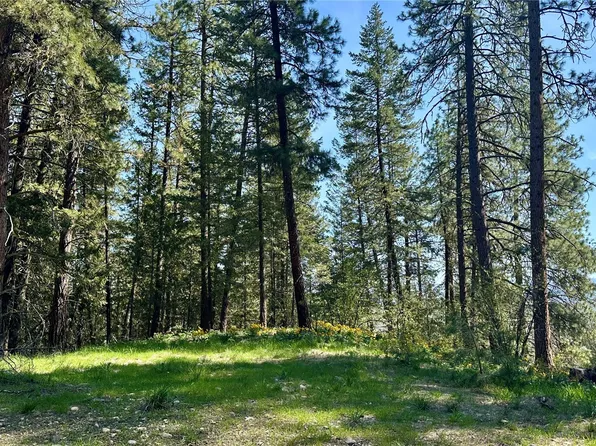 13 Sundance Lane, Winthrop, WA 98862