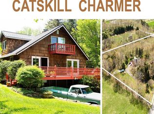 705 Henry Williams Rd, Roxbury, NY 12474