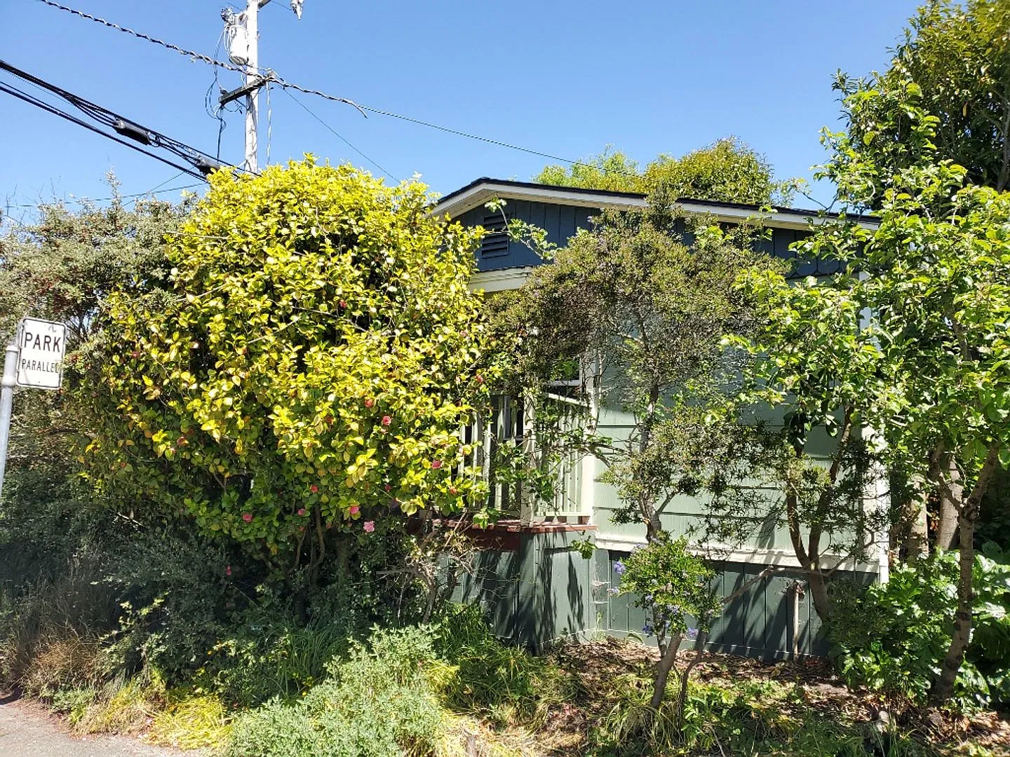 371 & 373 Montgomery PRM: Andrew (2) — Photo 1