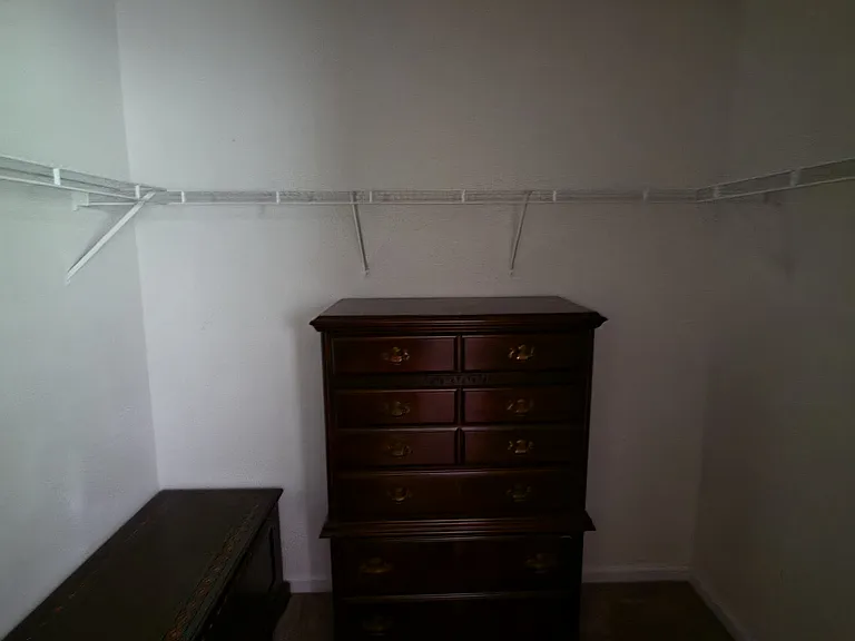 5375 Kimmerly Woods Dr — Photo 10