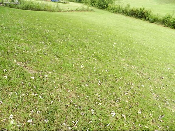 5th image of 5551 Rolling Hills Dr