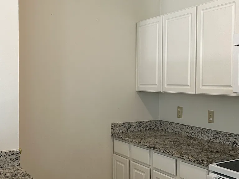 1600 Long Grove Dr #422 — Photo 7