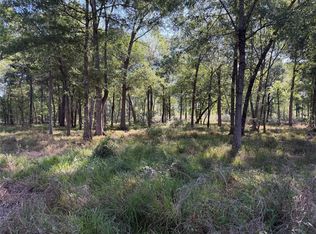 0 County Road 2195, Cleveland, TX 77327