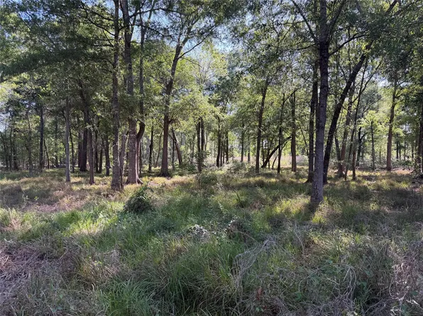 0 County Road 2195, Cleveland, TX 77327