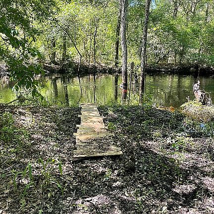 Dreams under old oak trees!